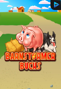 Barnstormer Bucks